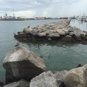 Meet your Posher, Robbin